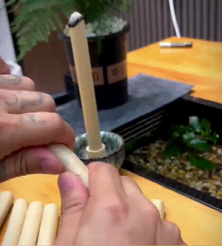 15.gif