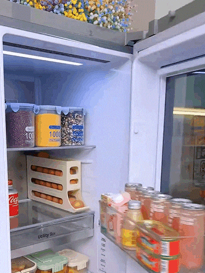 DM_20251127161045_009.gif