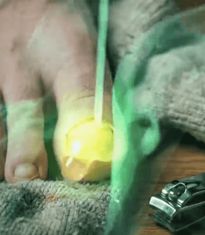 29.gif
