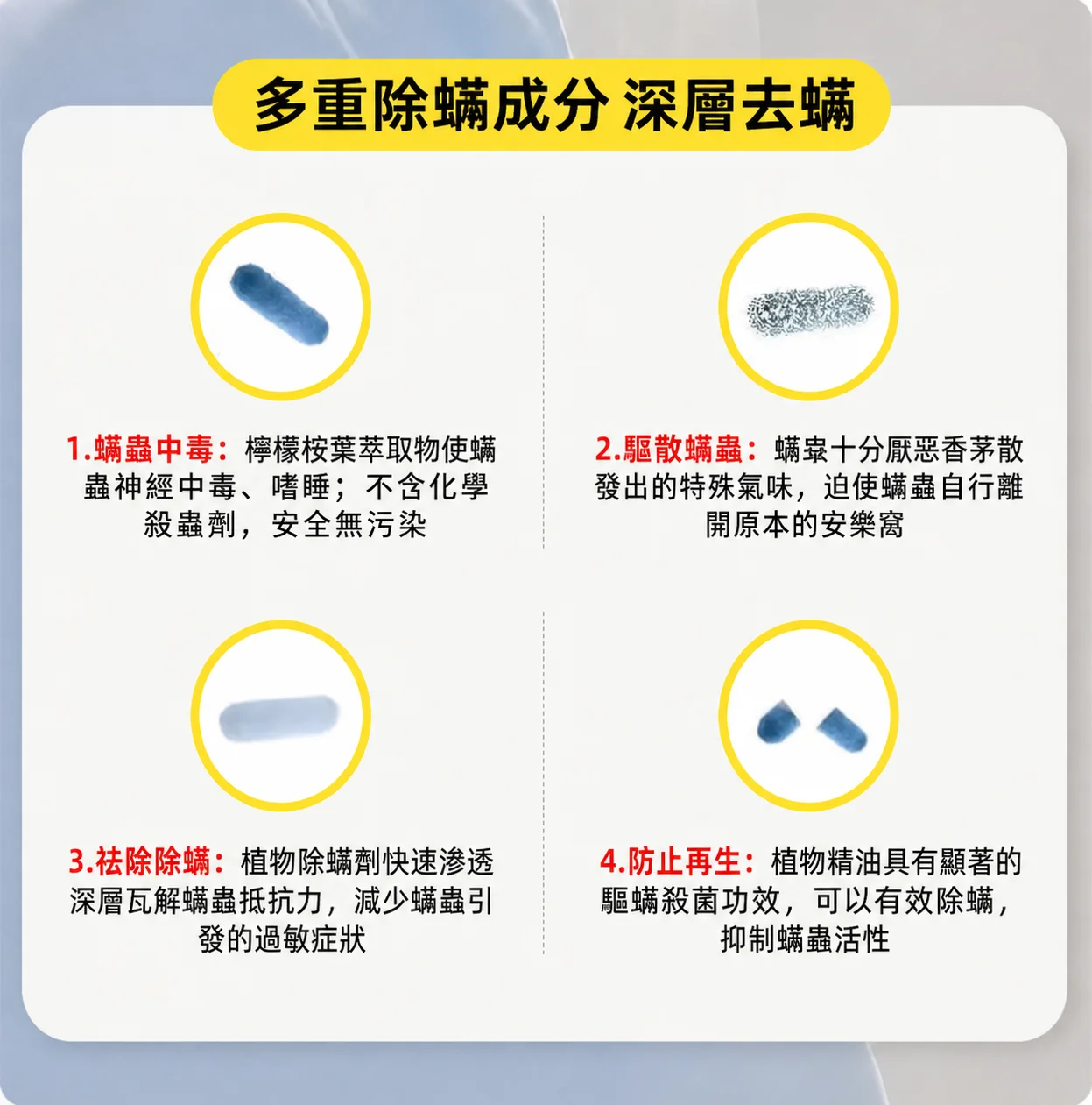 16.webp