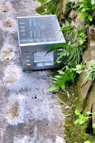 20260504_145558_067.gif