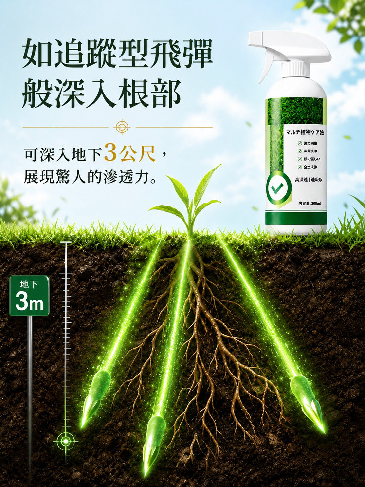 详情04.jpg