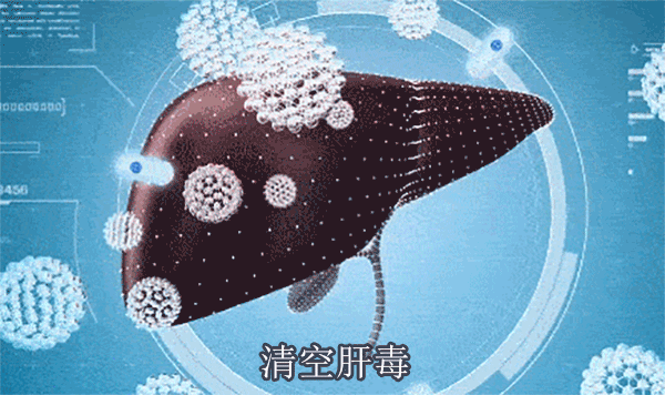 DM_20260423145947_008.gif