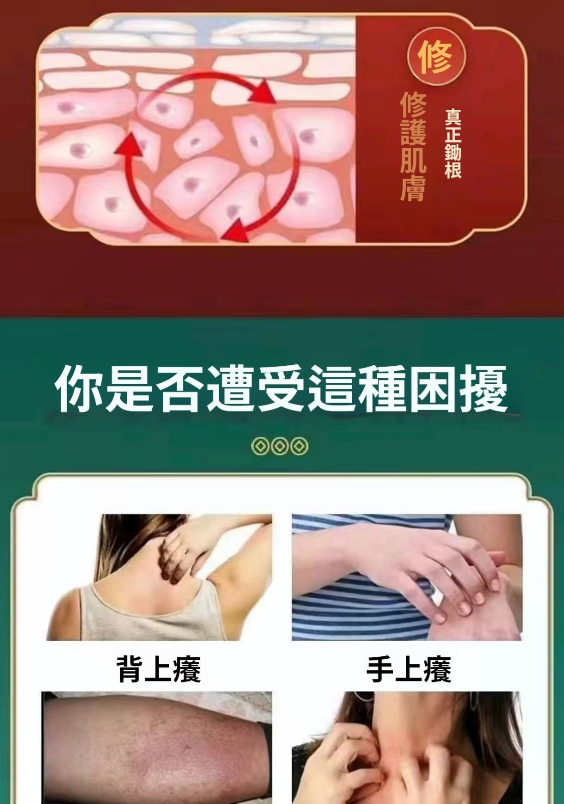 详情10.jpg