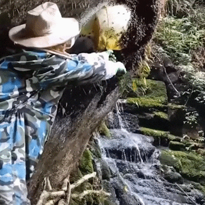 DM_20260506164731_009.gif