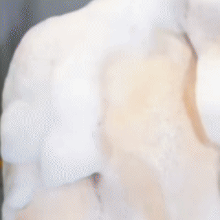 16.gif