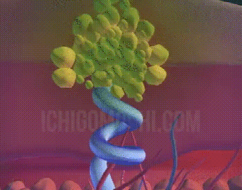 DM_20260530112858_007.gif