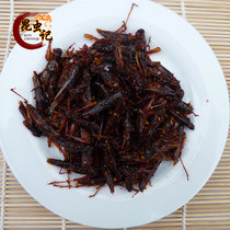  Rice locusts small grasshoppers grasshoppers insects locusts insects fresh food 100 grams
