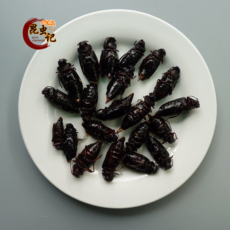 Mother mountain buffalo, mountain ox, mountain worm, worms with seeds, 5