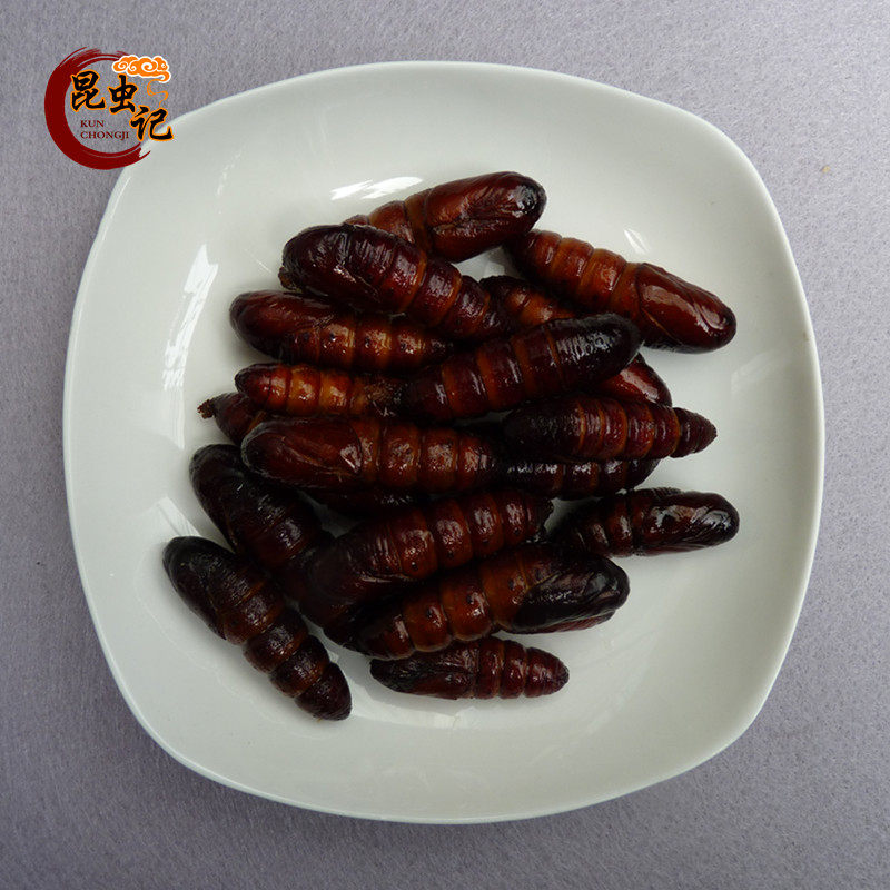 Songhu Pupa, Caterpillar Pupa, Delicious Bugs and Insects 50g