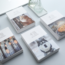 Half-language postcard mask sticker repair resveratrol long charcoal oligopeptide moisturizing moisturizing brightening skin tone clean female