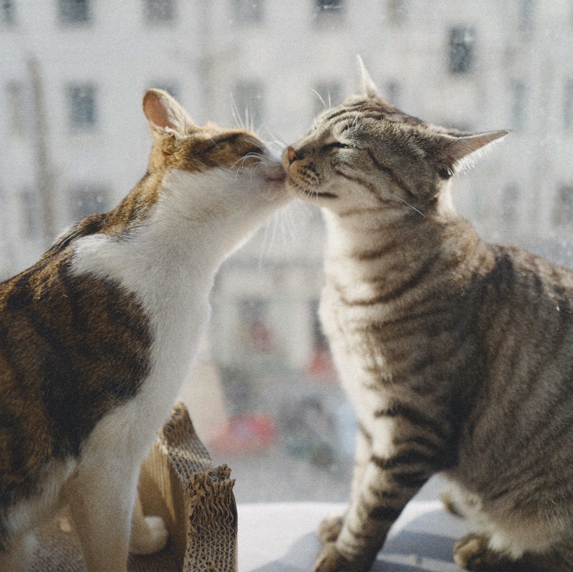 Freight special shoot ~