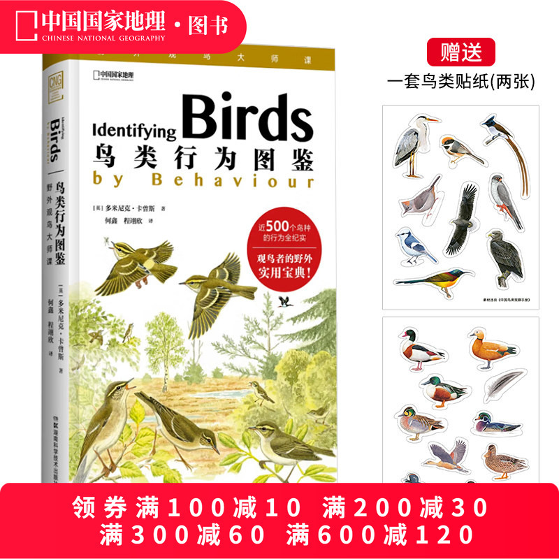 Bird Behavior Illustrated Guide by Dominic Caganza, Bird Field Guide, Bird Morphology Illustrated Guide, Animal Encyclopedia