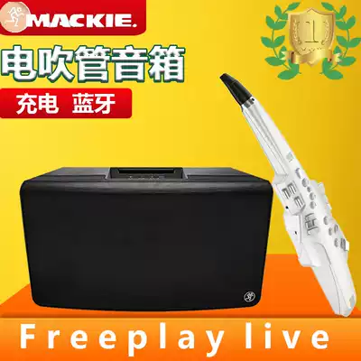 Freeplay Live Meiqi outdoor portable folk charging guitar playing and singing speaker Electric blowpipe special audio