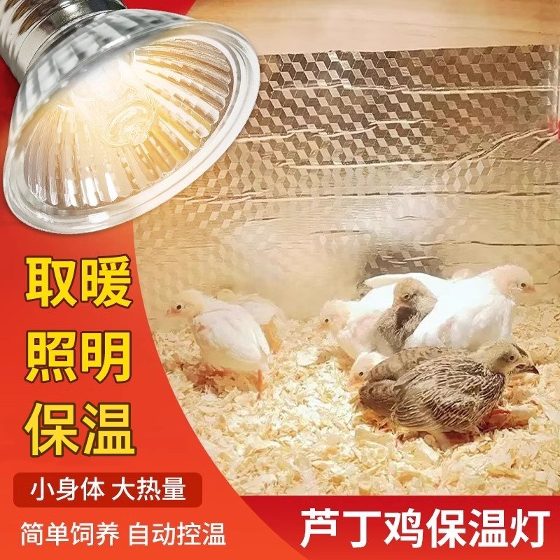 芦丁鸡保温灯小鸡育雏自动控温恒温乌龟养殖场专用保暖灯泡取暖灯