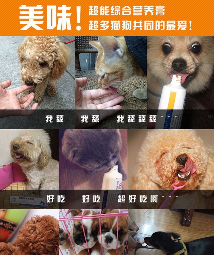 Teddy dog ​​siêu dinh dưỡng kem pet dog và chó sản phẩm sức khỏe chó con mèo bổ sung canxi dinh dưỡng vitamin mèo uống sữa gì