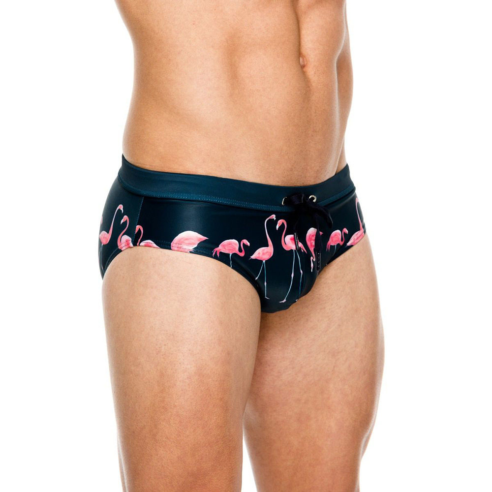 Flamingo Print Swim Trunks