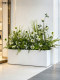 High-End Realistic Artificial Green Plants for Commercial Soft Decoration and Plant Landscaping in Flower Boxes and Partitions