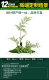 Golden Monkey Monkey Fern Landscaping Длина 80 см