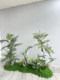 Artificial Green Plant Landscaping Combination, On-Site Real-Life Photography, Window Decoration, Fake Plant Landscape, Indoor Atmosphere Tree Ornaments