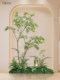 Roman's Mother's Jacaranda Artificial Plant, No-Installation Green Plant Landscaping Combination, Indoor Hotel Chinese-Style Floor-Standing Landscape