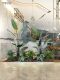 Roman Mama simulated plant landscaping traveler banana potted green plant decoration indoor landscaping ornaments under the stairs