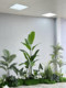 Artificial Green Plant Landscaping Combination, On-Site Real-Life Photography, Window Decoration, Fake Plant Landscape, Indoor Atmosphere Tree Ornaments