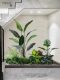 Roman Mama simulated plant landscaping traveler banana potted green plant decoration indoor landscaping ornaments under the stairs