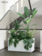 Roman's Mother's Simulated Plant Landscape, High-End Light Luxury Bionic Fake Green Plants, Floor-Standing Flower Trough Landscaping Decoration Ornaments