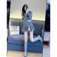 Осенний ретро милый комплект, в стиле Шанель, в западном стиле, коллекция 2023