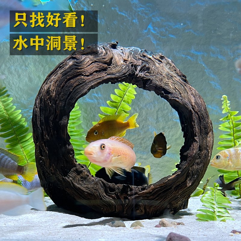 Hollow Driftwood Cave for Fish Tank Landscaping 403020 Natural Hiding Place One-Piece Wood Feature Aquatic Plants Hollow Tree Stump Tree Hole Hollow Driftwood Cave for Fish Tank Landscaping 403020 Natural Hiding Place One-Piece Wood Feature Aquatic Plants Hollow Tree Stump Tree Hole