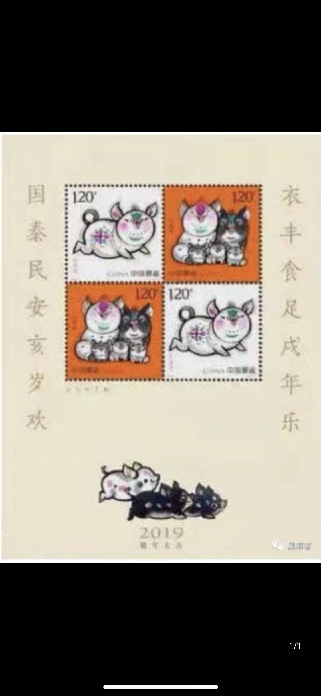 2019-1 The Year of the Pig of the Year of the Pig of the Year of the Pig of the Year of the Pig of the Year of the Pig of the Year of the Pig