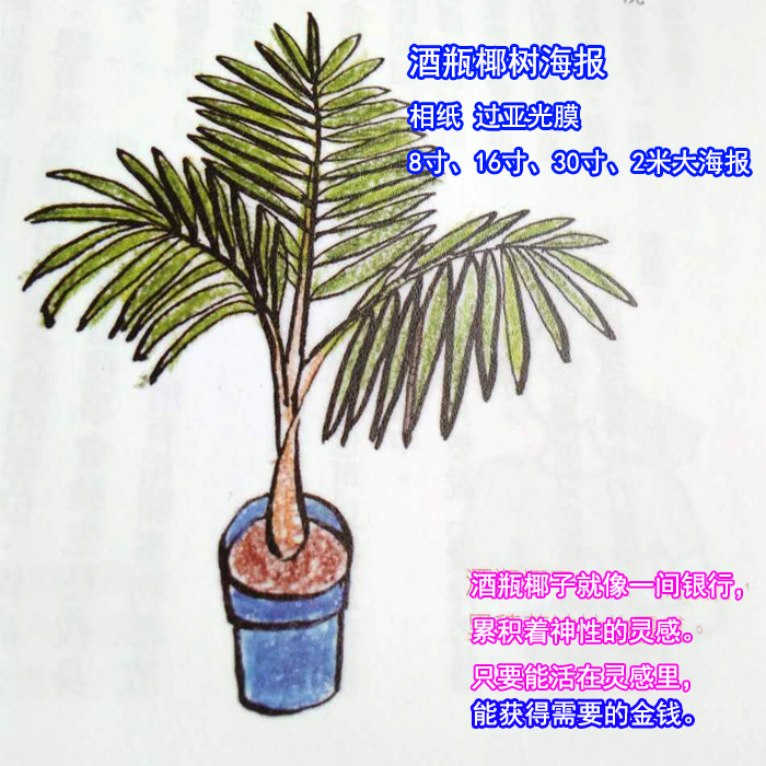 Marna Road) Wine Bottle Coconut Tree Poster Cleaning Tool Cleaning Up Money Problem Paper Over Suboptical Film