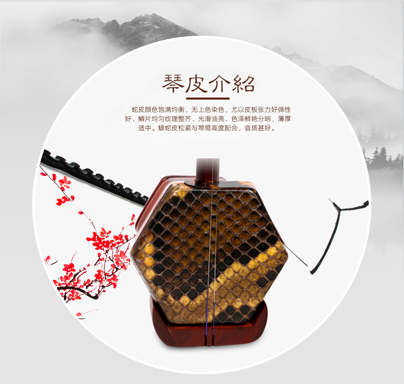 Mingsen mahogany erhu nhạc cụ mới bắt đầu chơi phân loại trẻ em người lớn phổ quát quốc gia nhà máy Huqin bán hàng trực tiếp - Nhạc cụ dân tộc đàn cổ tranh