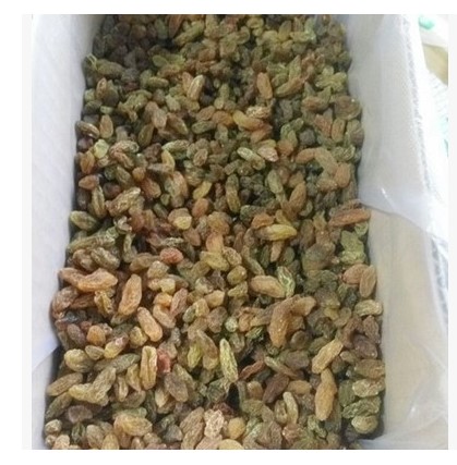 The raisins of Xinjiang Xinjiang Turpan Raising without a piece of dry 20 kg