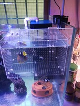 Fish tank ge li he acrylic ge li he Fry ge li he muffle (hole 2mm)