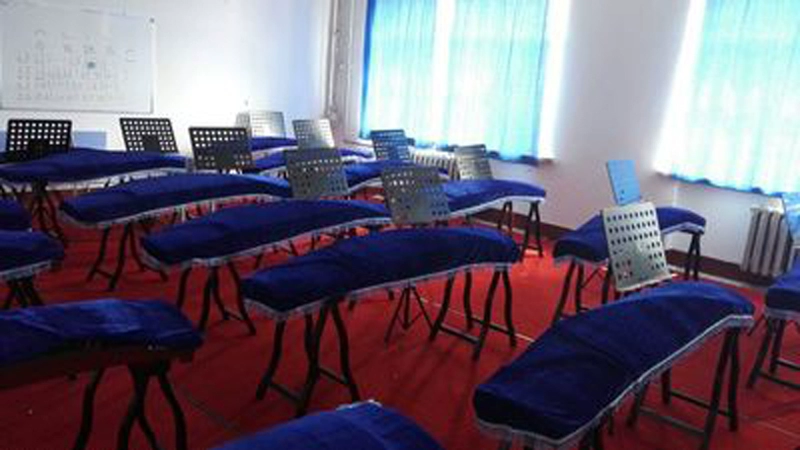 Vàng nhung dày guzheng bìa trang trí bìa nhiều màu guzheng phổ quát bụi che bìa vải phụ kiện nhạc cụ - Phụ kiện nhạc cụ