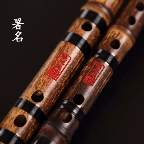 铁心迪 Производство/бренд Zizhu Set Flute/Five Cake/Full Set Accessories/Flute Professional Подкрепление/618 Продвижение мероприятия