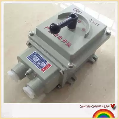 Supply BQXN explosion-proof reverse switch 60A motor forward and reverse explosion-proof switch reversible reverse switch 25A