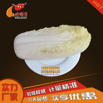 Simulation Food 90 kcal Food Exchange Model Dietary Nutrition Guidance Display Education Supplies Customizable