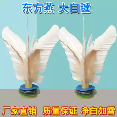 Oriental swallow goose feather high bullet pelican beef tendon bottom Adult children's fitness game with white big white shuttlecock shuttlecock shuttlecock shuttlecock shuttlecock shuttlecock shuttlecock