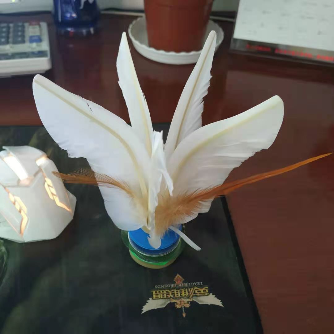 Five feather big white shuttlecock new product shuttlecock park outdoor sports goods activities group building game supplies shuttlecock hair