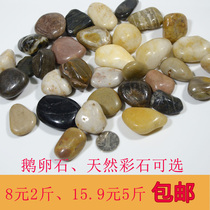 Ecological fish tank landscaping turtle tank bottom aquarium decorative sand stone natural pebbles colored stone shell bottom sand