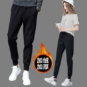 Mùa thu và mùa đông nam nữ quần không có quần harem không có sắt từ quần harem quần thun chân quần co rút quần không kim loại