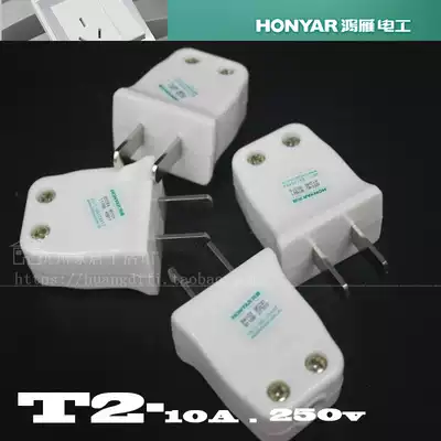 Hangzhou Hangzhou Hongyan T2-10A two plug 250V switch socket use