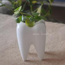 Foreign trade original single ceramic fleshy plant flowerpot mini office indoor flower potted anti-radiation desktop vase insert