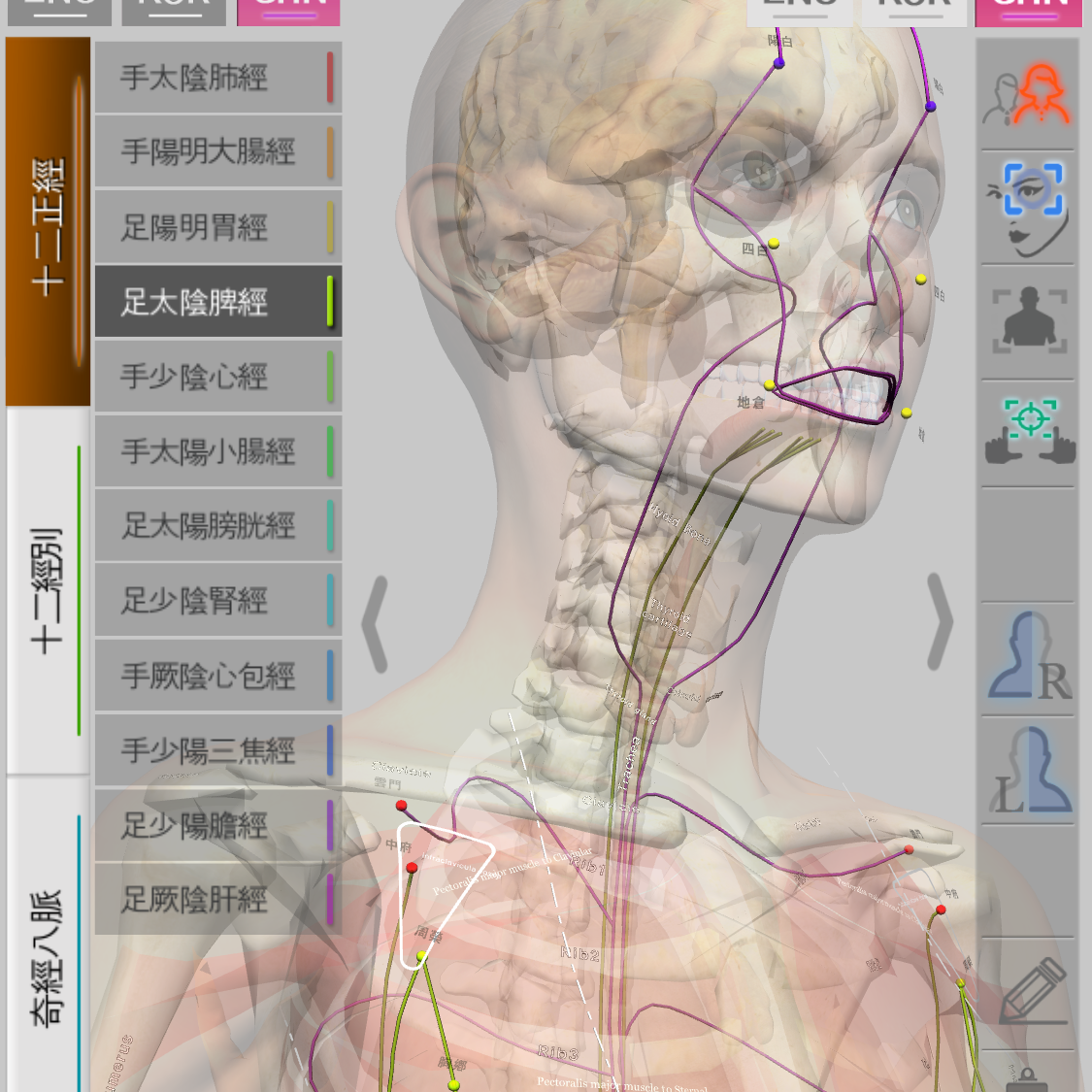 ios版中医3D全身经络运行图谱Meridian Inside软件iphoneipad可用
