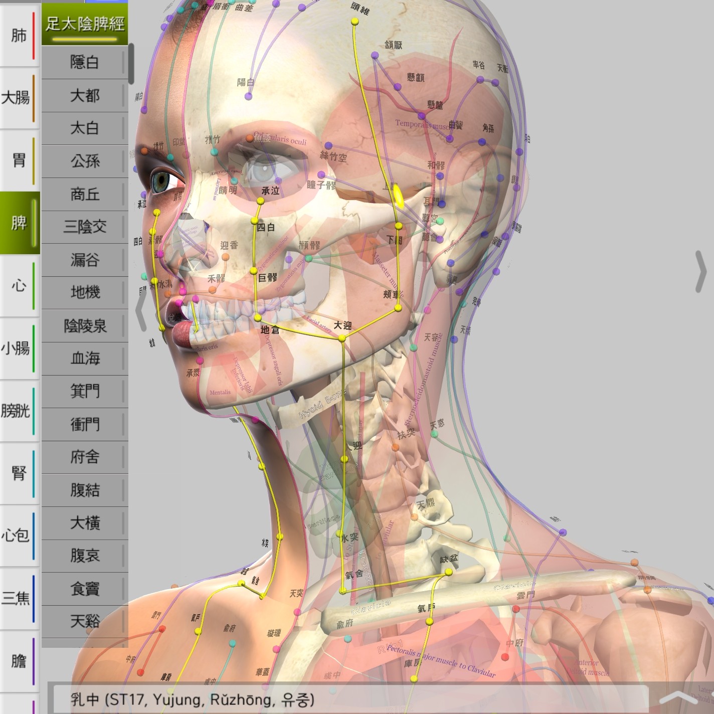 iOS版中医经络3D学习软体 全身穴位针灸推拿模拟教学