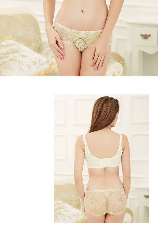 Bộ đếm áo ngực Qiao Dana đặc biệt giải phóng mặt bằng phần mỏng đặc biệt nhận được sữa 75D được thu thập trên áo ngực điều chỉnh 80D ao lot