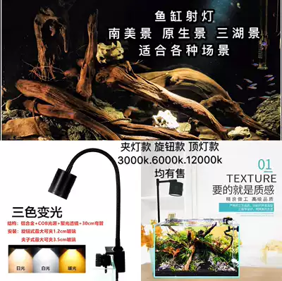 Fish tank spotlight Native South American shaped Electric Dragon cylinder three lake turtle LED spotlight aquarium light led clip light
